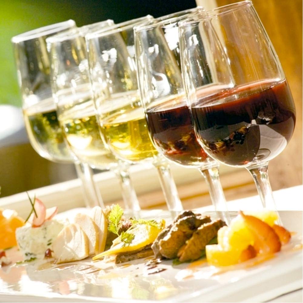 Verkostungsglas INAO aus Kunststoff Tasting Glas Nosing Glas Plastik Transparent 220 cl. Set 6 Stück