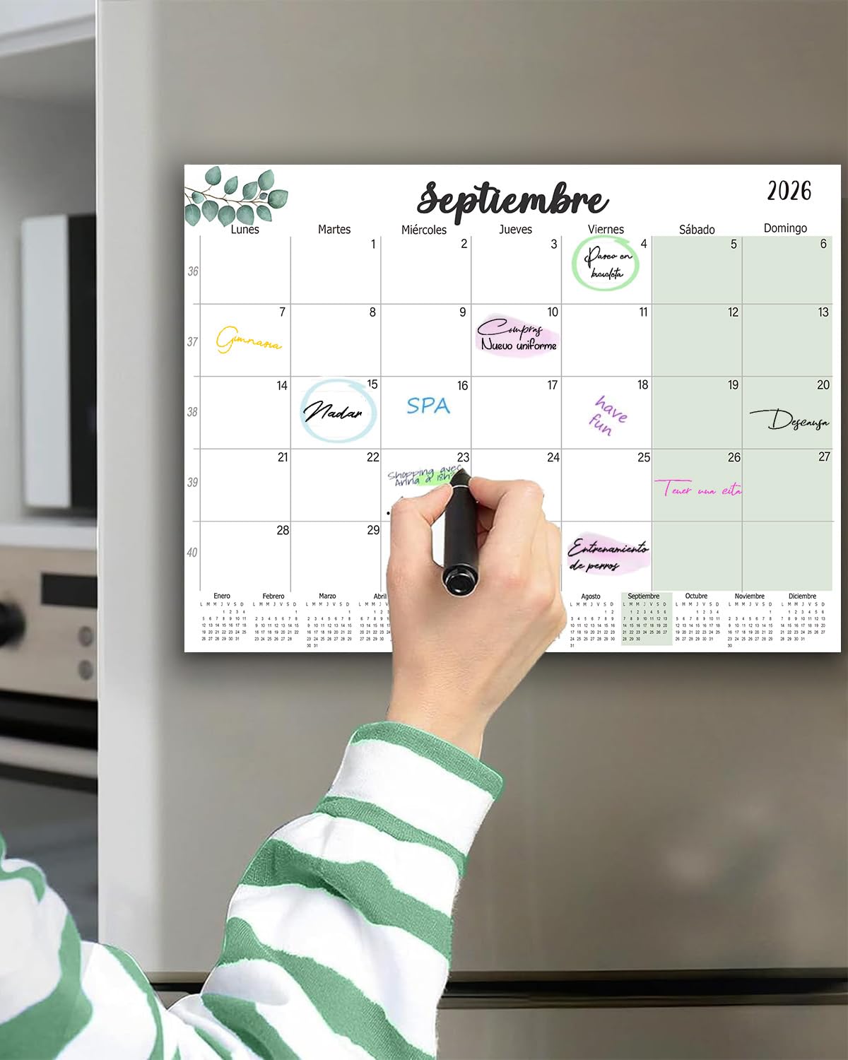Calendario Magnético Nevera 2026 2027 A4, Calendario Imán Nevera Enero 2026 - Junio 2027, Planificador Mensual Familiar, para Casa Oficina Escolar (Español)