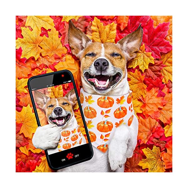 Whaline 4 pack autumn dog bandanas reversible halloween fall triangle bibs pumpkin ghost bat pet scarf washable cotton pet neckerchief for medium large pets cats dogs - image 6