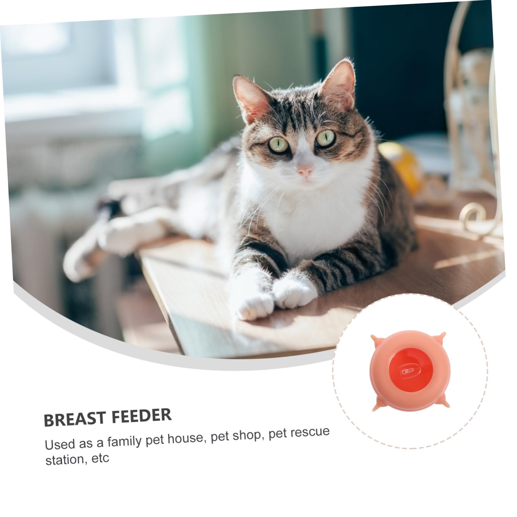HANABASS Comedero para Cachorros y Gatitos de Silicona Fácil de Limpiar, Herramienta de Alimentación para Mascotas Pequeñas y Recién Nacidas, Accesorio Seguro y para Lactancia