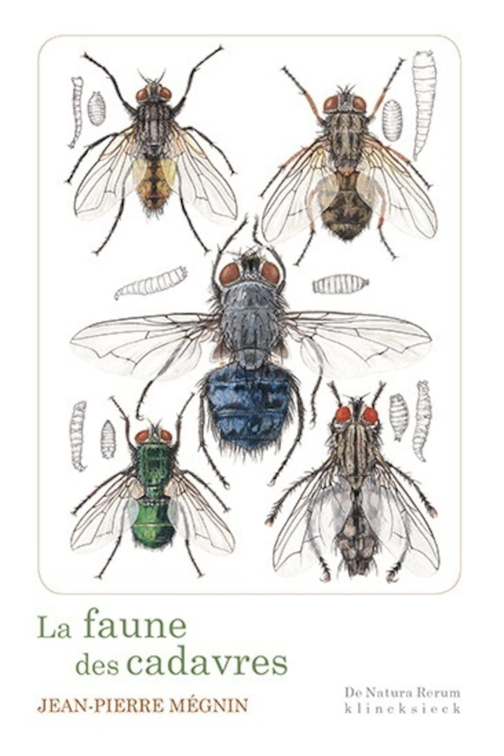 La faune des cadavres: Application de l'entomologie à la médecine légale
