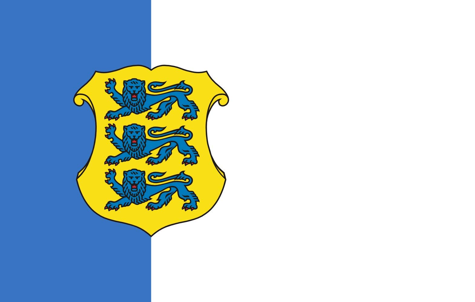 Drapeau XL Estonie amiral pavillon estonien 150x90cm pour mat