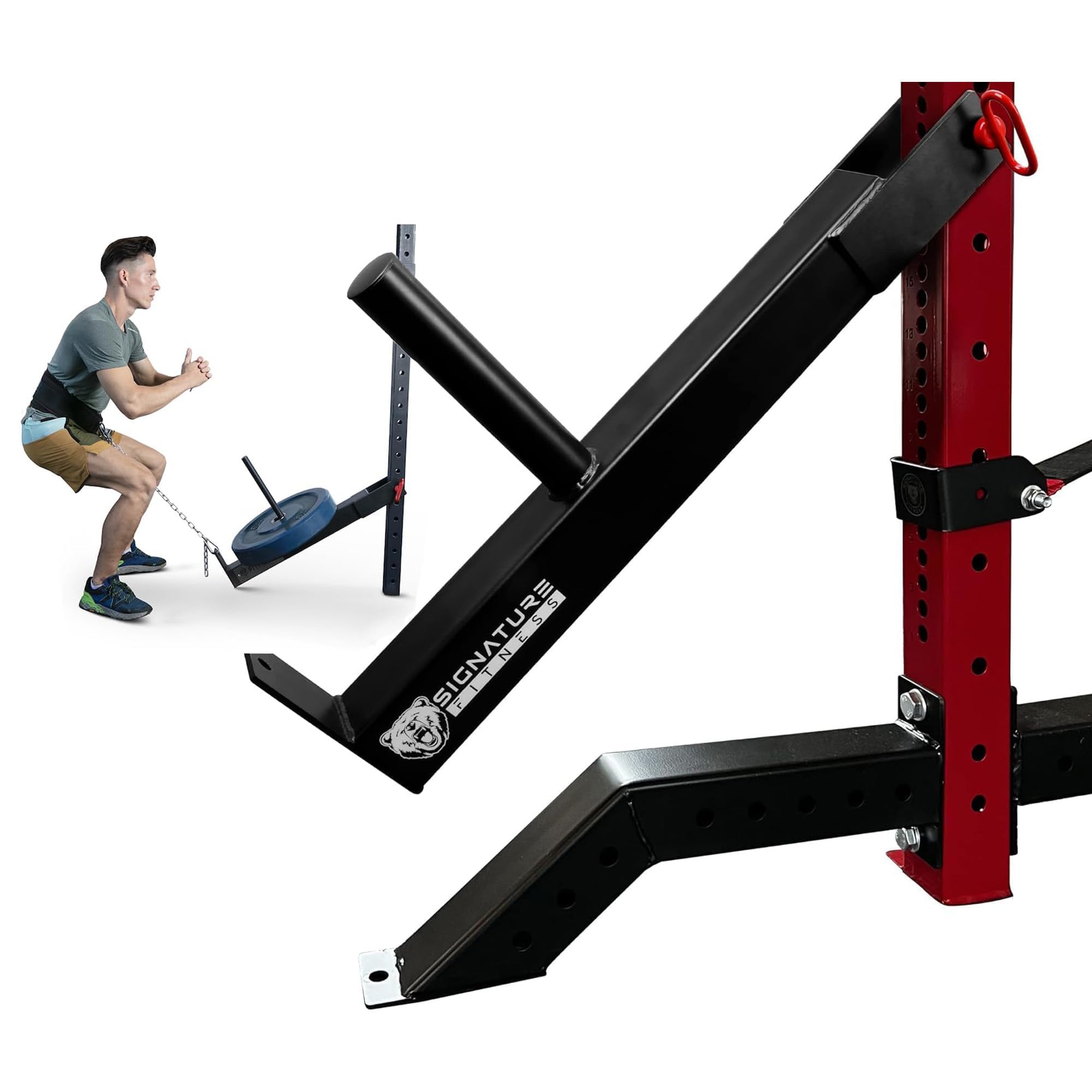 Amazon | Signature Fitness ベルトスクワット、カール、列、または