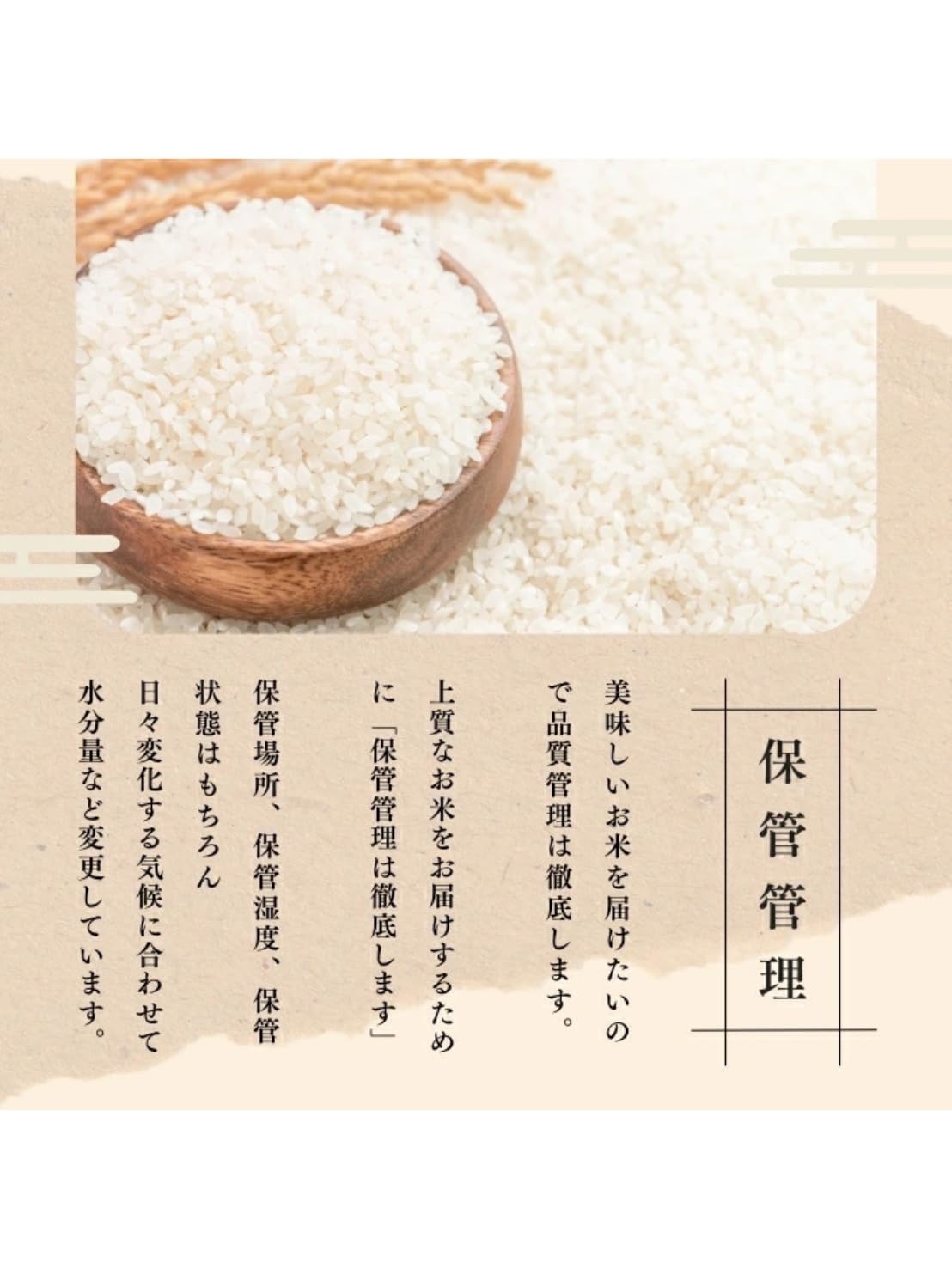 Amazon.co.jp: 新米 新潟県産コシヒカリ 精白米 10kg 令和7年産 お米