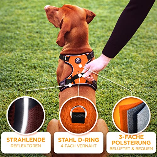 Tierhood - Hundegeschirr für kleine, mittel und große Hunde - [INKL. HALSCLIP] - Geschirr - Sicherheitsgeschirr - Hundegeschirr mittelgroße - Hunde Geschirr - Zuggeschirr