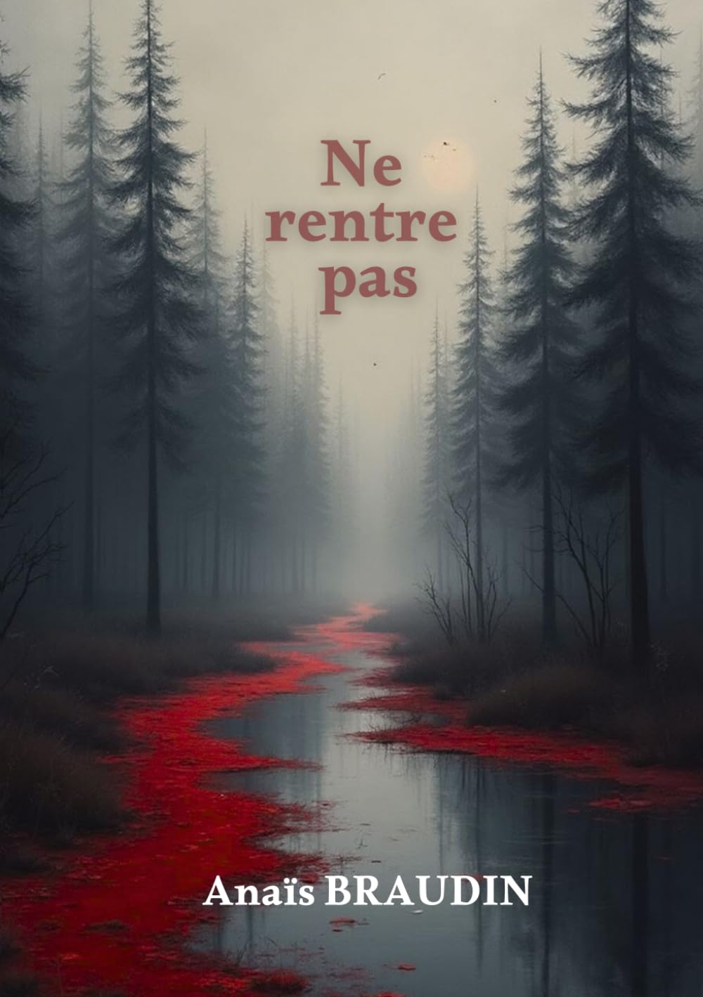 Ne rentre pas