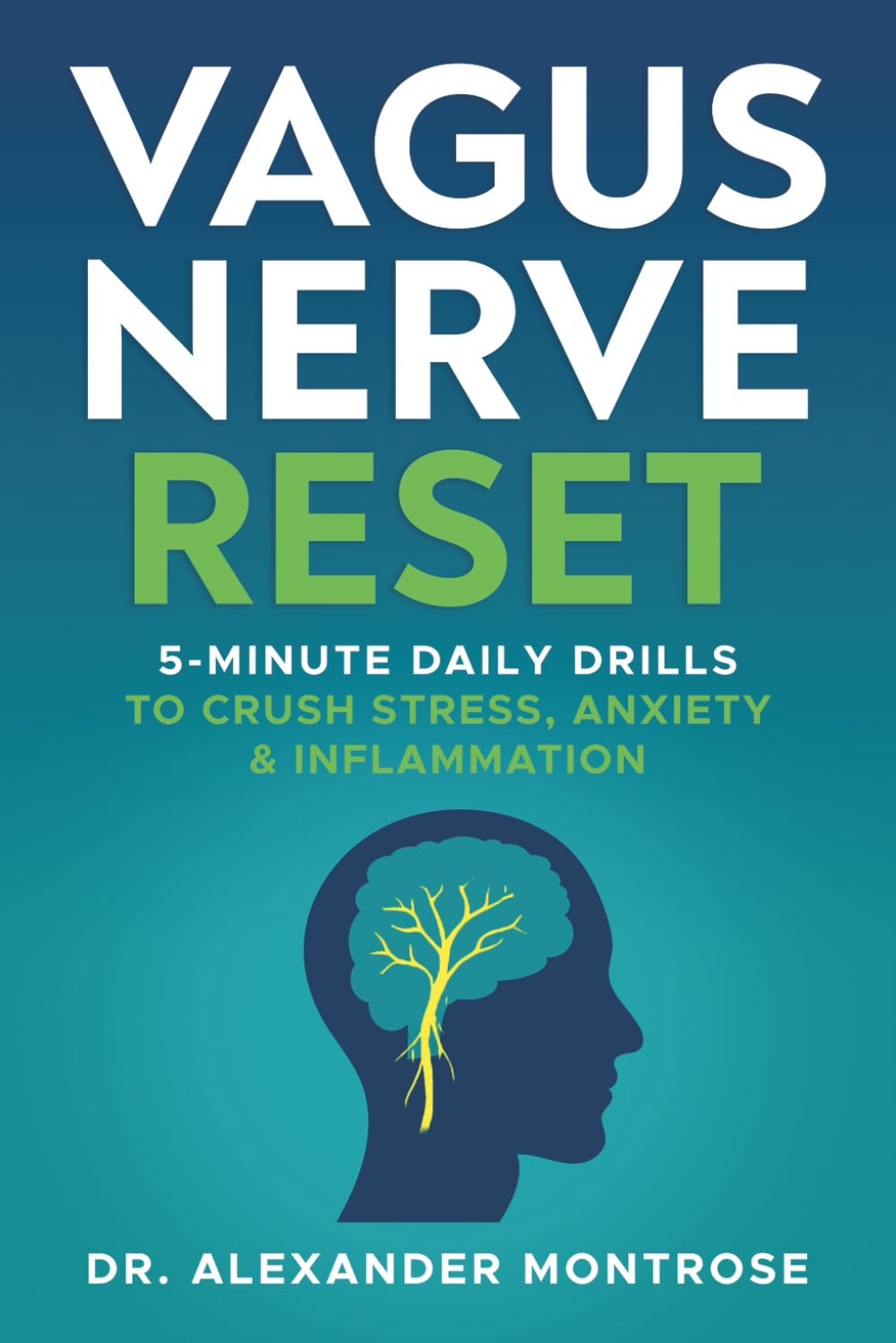 Vagus Nerve Reset: 5-Minute Daily Drills to Crush Stress, Anxiety & Inflammation