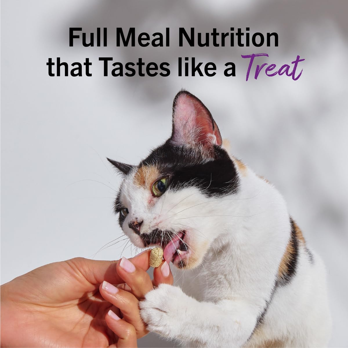 Stella & Chewy's Freeze-Dried Raw Cat Dinner Morsels - Premium Turkey Recipe with 98% Farm-Raised Meat & Organs - Natural Grain-Free Cat & Kitten Food - Made in USA - 3.5 oz