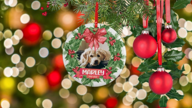 Printtoo Ornamento Albero Di Natale Personalizzato Per Ricordo Cane – Targhetta Acrilica Incisa Con Nome E Data, Regalo Commemorativo Con Scatola - 3