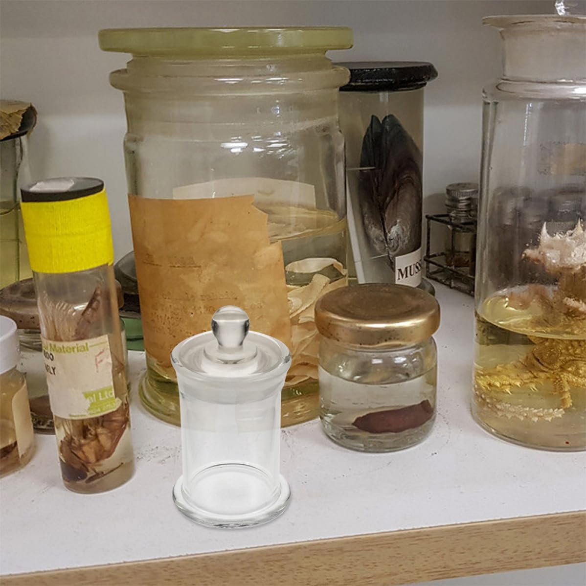 Sosoport 2 Pezzi Bottiglia di Vetro per Campioni di Laboratorio, Resistente al Calore, senza Sbavature, Facile da Pulire, per Conservazione di Liquidi e Oli Essenziali in Classe di Chimica