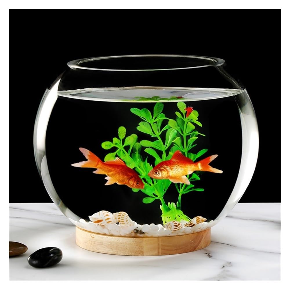 Aquarium Rundes, verdicktes, transparentes Glas-Aquarium for den Schreibtisch, rund, Goldfisch-Aquarium, dekoratives Wohnzimmer-Ornament(30cm)