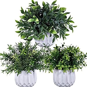 Winlyn 3 Pcs Faux Potted Plants Set – Artificial Eucalyptus, Rosemary, Boxwood Greenery in Small White Geometric Planters for Indoor Outdoor Desk Table Centerpiece Shelf Windowsill Home Office Decor
