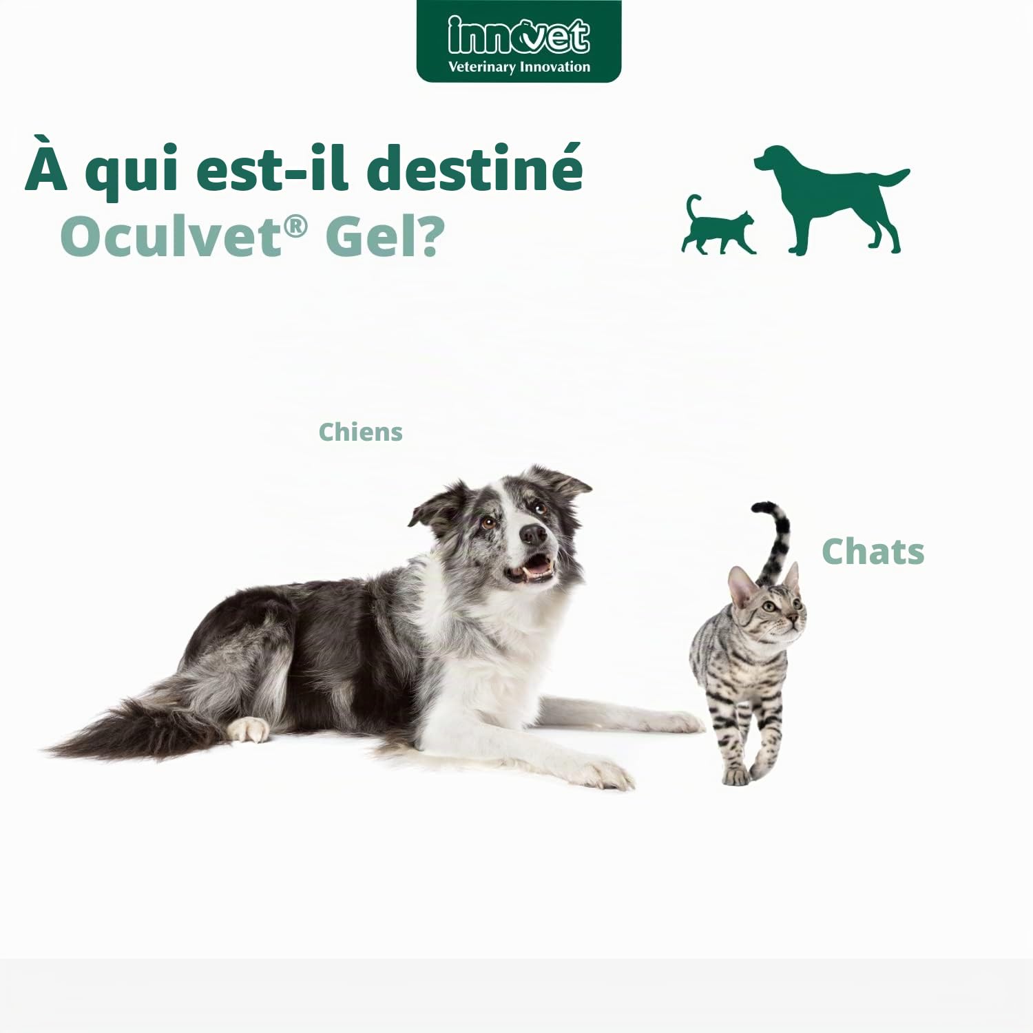 Innovet Oculvet Gel ophtalmique | Effet lubrifiant et hydratant | Chiens et chats | Protection de la surface des yeux dans toutes les conditions de changements du film lacrymal | 10 ml