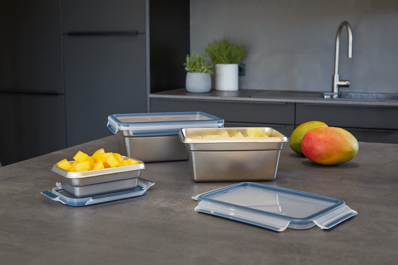 EMSA Clip&Close Inox - Caja de conservación (3 L, ligera e higiénica, acero inoxidable 304, impermeable, compatible con congelador, horno, lavavajillas, tapa de clip, tecnología alemana N1150700