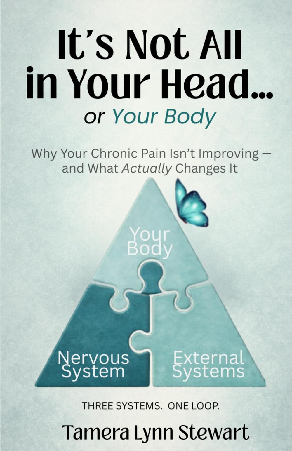 It’s Not All In Your Head… or Your Body: Why Your Chronic Pain Isn’t Improving — and What Actually Changes It