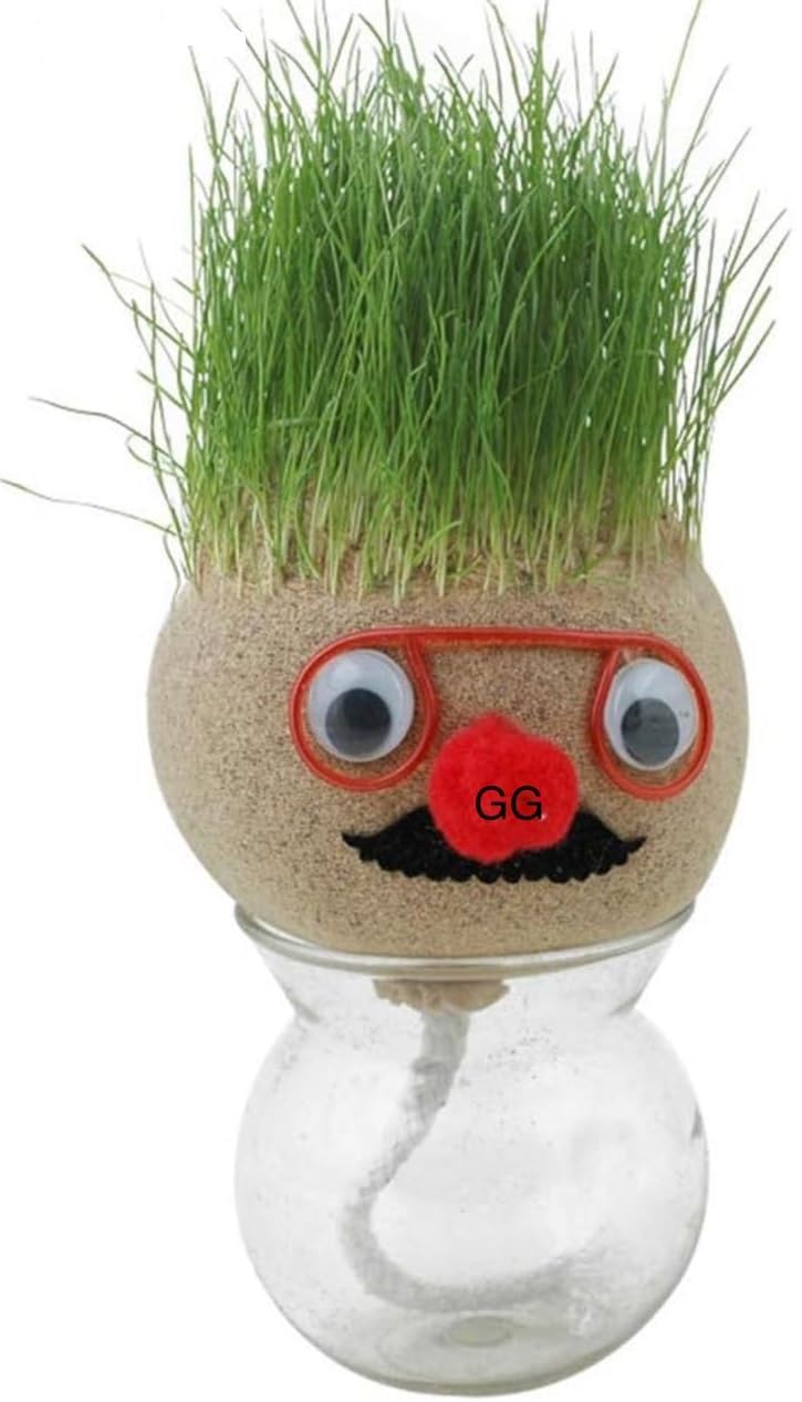 Prisma Collections Magic Growing Grass Head Funny Fast Growing Grass Head Indoor Plant Table Decor comes with Plastic Container (B0CTQSSRLL) Amazon Price History, Amazon Price Tracker