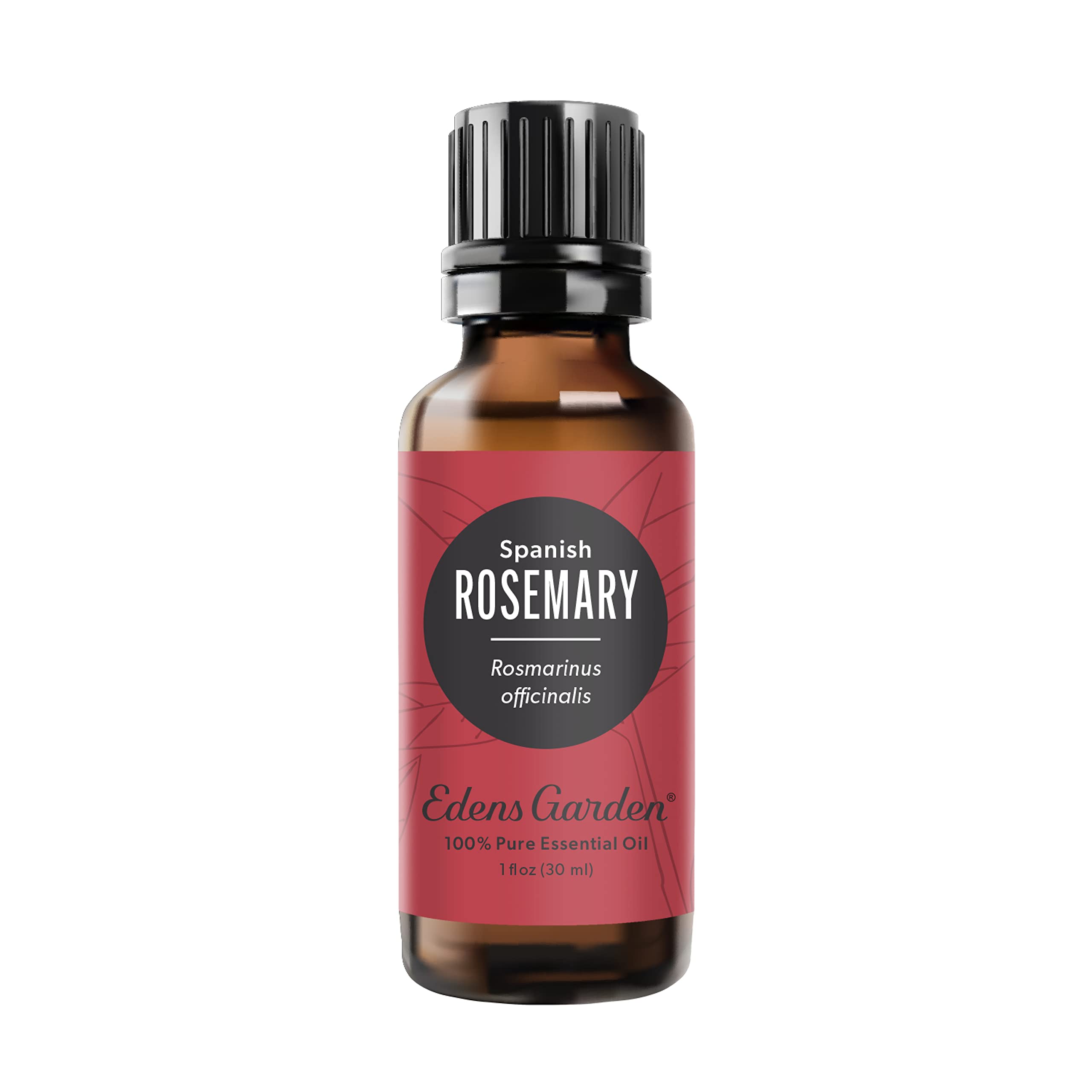 Amazon.com: Edens Garden Rosemary- Spanish Essential Oil- 100