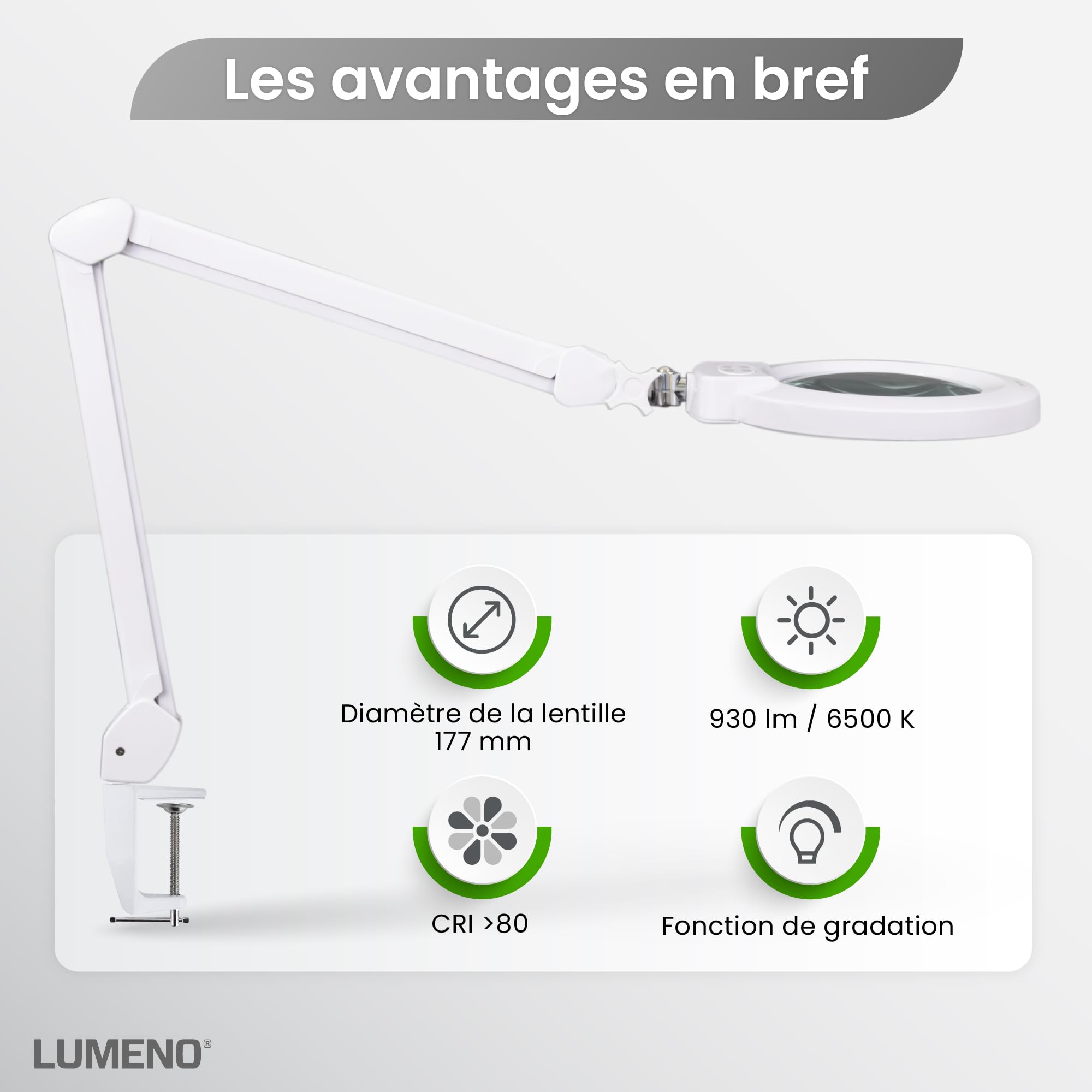 Lumeno 8243PRO Lampe loupe LED avec grande lentille en verre 177 mm, dimmable avec interrupteur à segments et boîtier métallique robuste, pour les travaux manuels, le cabinet de pédicure, 3 dioptries