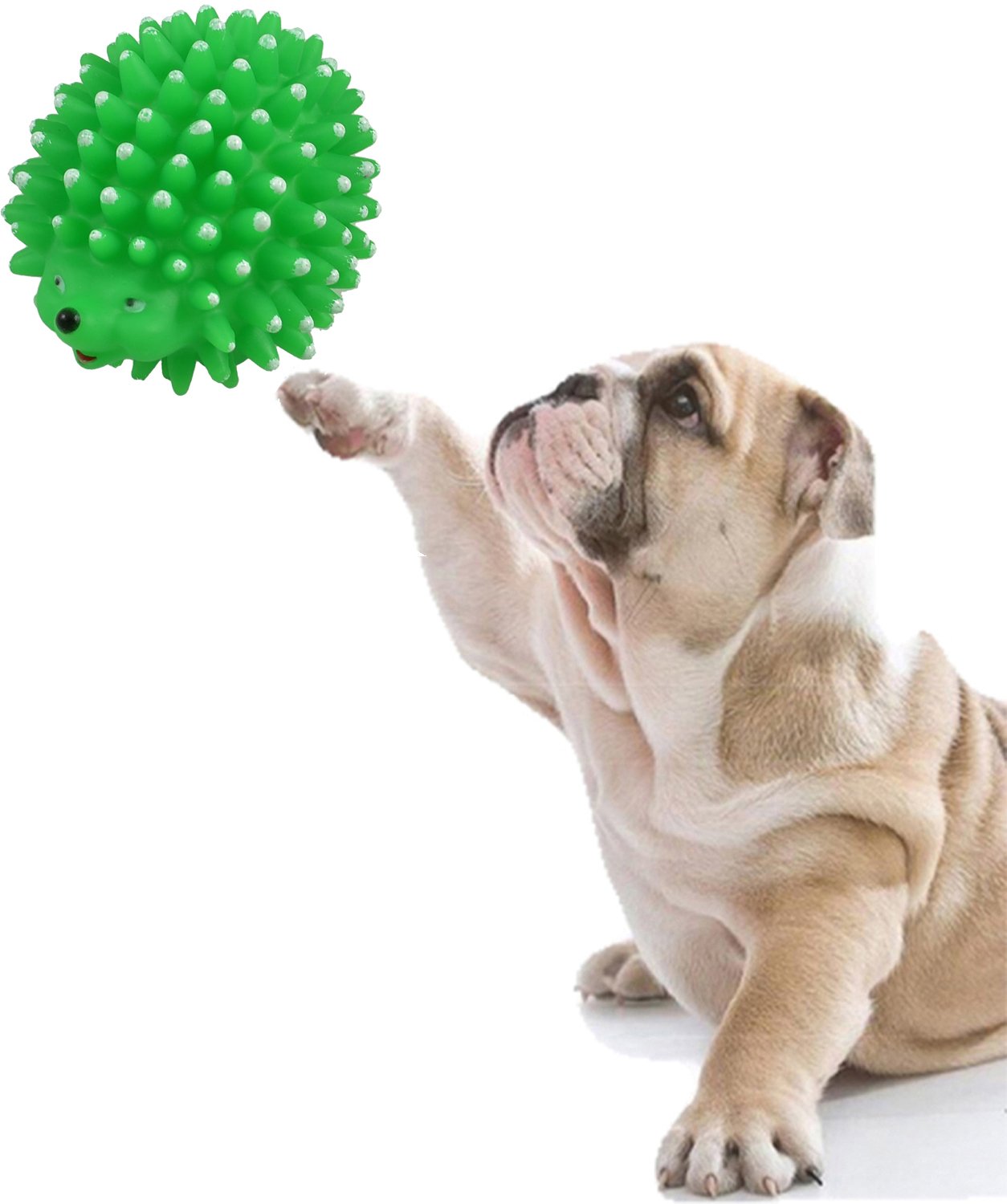Natural Rubber Squeaky Toy Cum Chew Porcupine Shape Toy for Dog/Puppy/Cat/Kitten (Green) (B079VD1DL7) Amazon Price History, Amazon Price Tracker