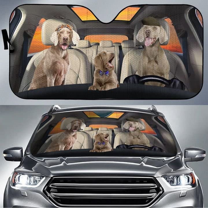 Couverture pare-brise voiture universelle et pare-soleil pliable anti-UV taille M pour SUV