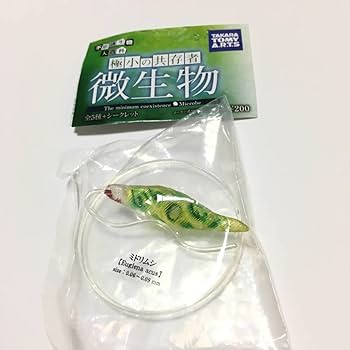 ♯Jzi17CZ不思議生物大百科極小の共存者微生物シークレット入6種 Amazon.co.jp: タカラトミーアーツ 不思議生物大百科 極小の共存