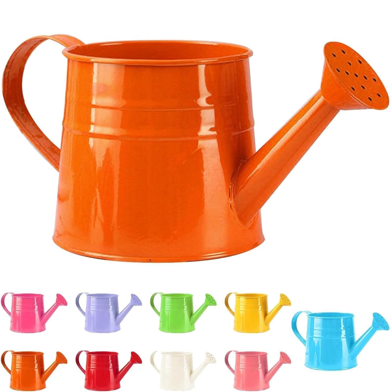 Metal Watering Can, 1L Watering Can for Indoor Houseplants, Vintage Garden Watering Can with Rose, Rustproof Galvanised Small Sprinkler for Flowers, Balcony (G)
