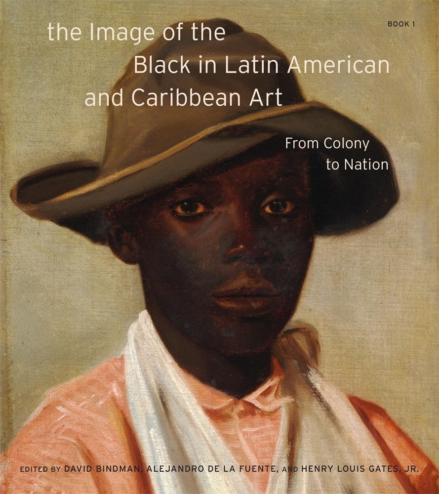 The Image of the Black in Latin American and Caribbean Art Book 1: From Colony to Nation (0)