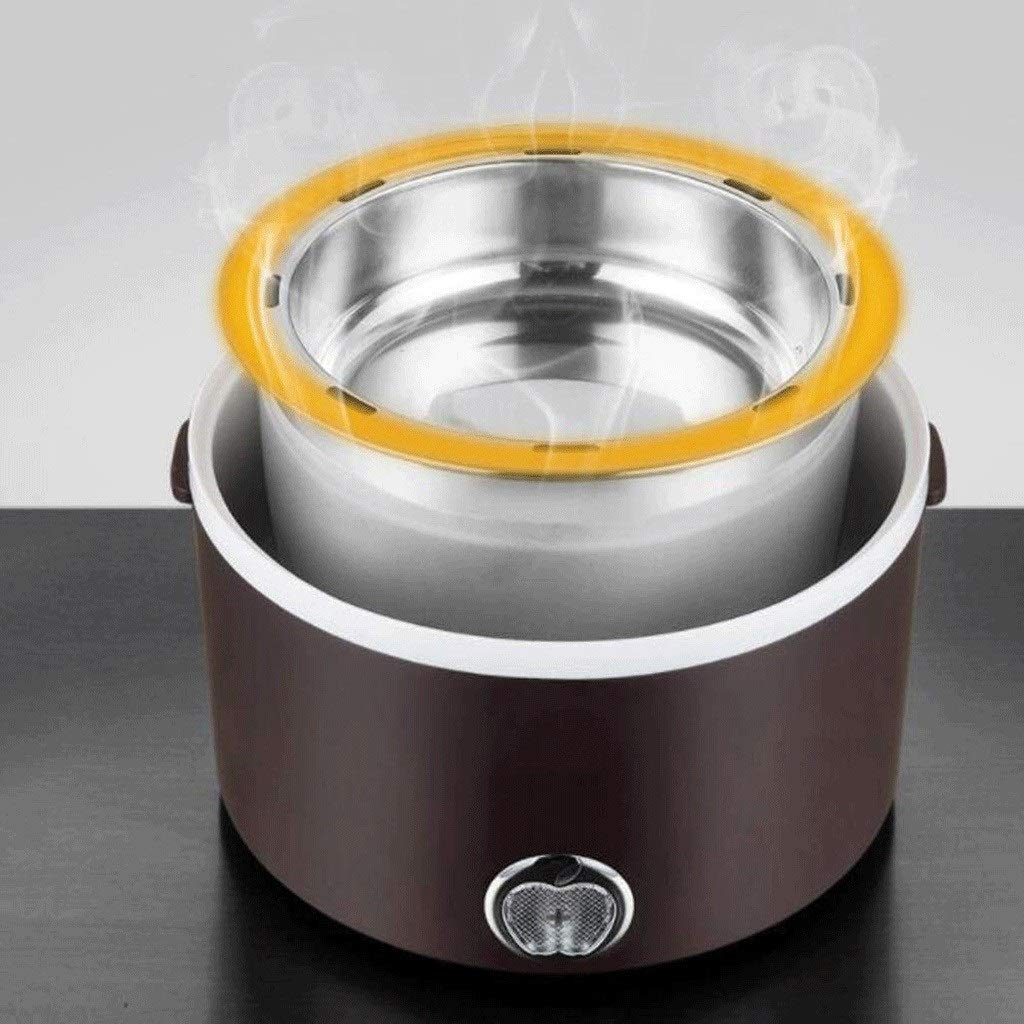 Fiambrera Aislante, Fiambrera eléctrica portátil de Doble Capa Fiambrera térmica para Trabajadores de Oficina Fiambrera Aislante