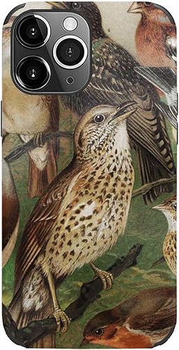 HMLTD Funda de silicona para iPhone 13 con patrón de pájaro retro, a prueba de golpes, de TPU colorido, resistente a los arañazos, carcasa