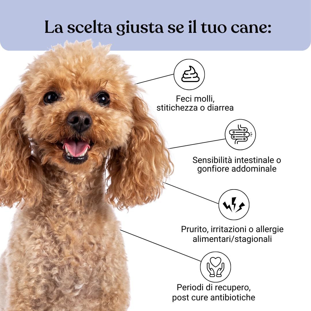 Bau Probiotici per Cani, Fermenti Lattici Cane, Supporto Gastrointestinale Cane, Probiotico Digestivo per Cani Prurito, Integratore Diarrea Cane con Ingredienti Naturali, Probiotico Cane -60cps