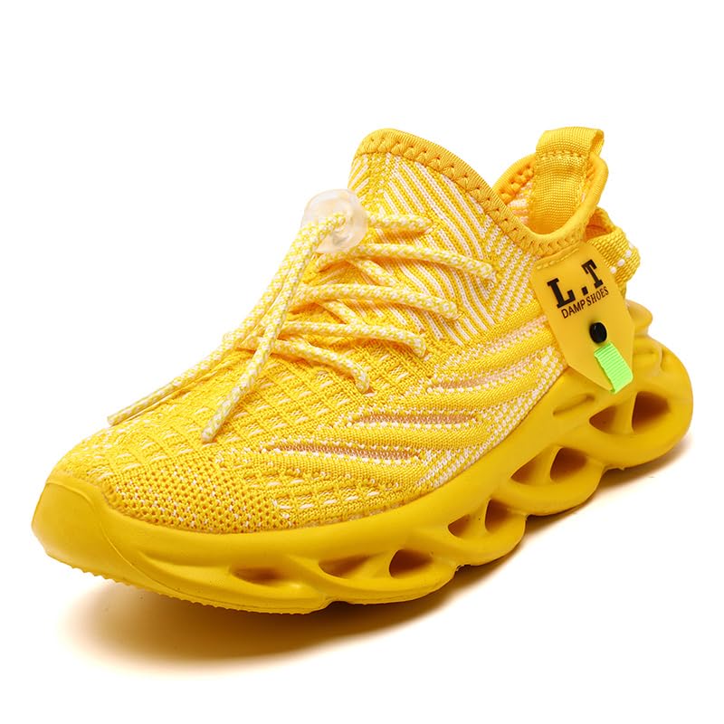 GDEBYZ Boys Girls Shoes Slip on Kids Sneakers Running...