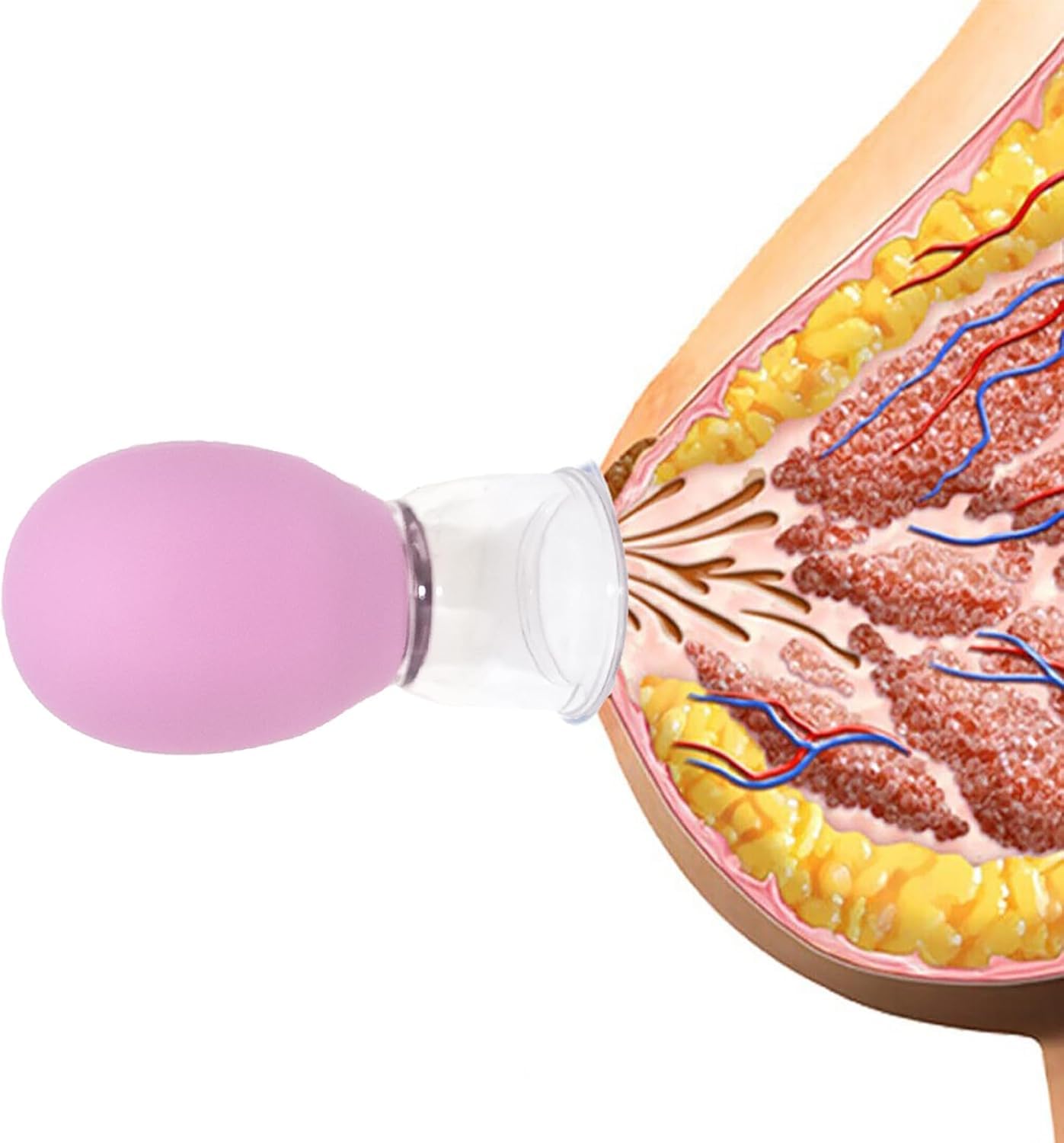 4 x Nipple Corrector, Nipple Inverted, Flat and Shy Nipples for Mom - Pink