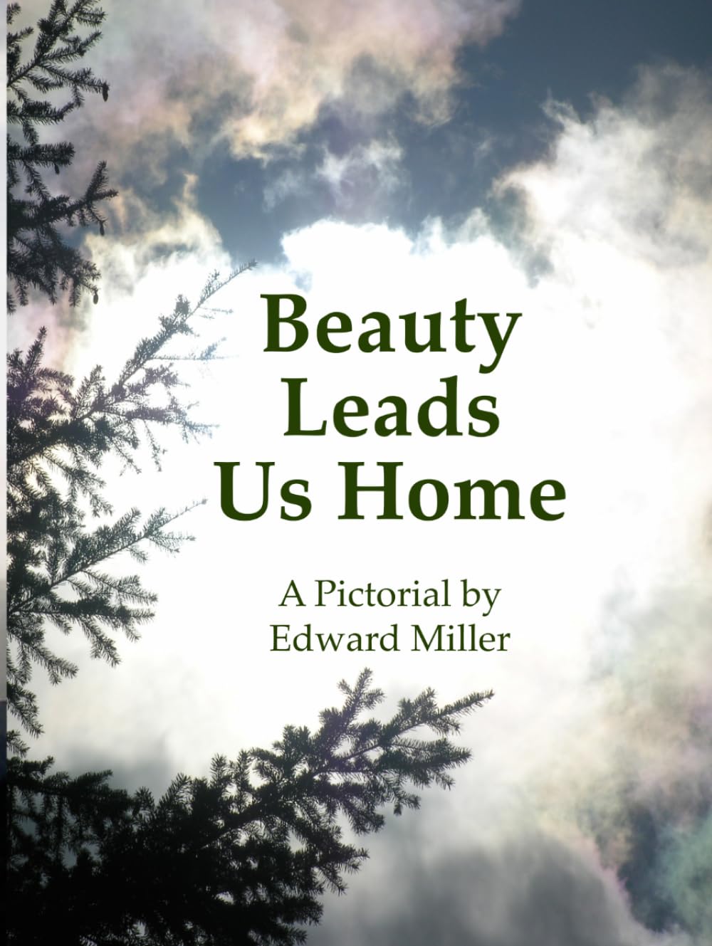 Beauty Leads Us Home: A Pictorial by Edward Miller