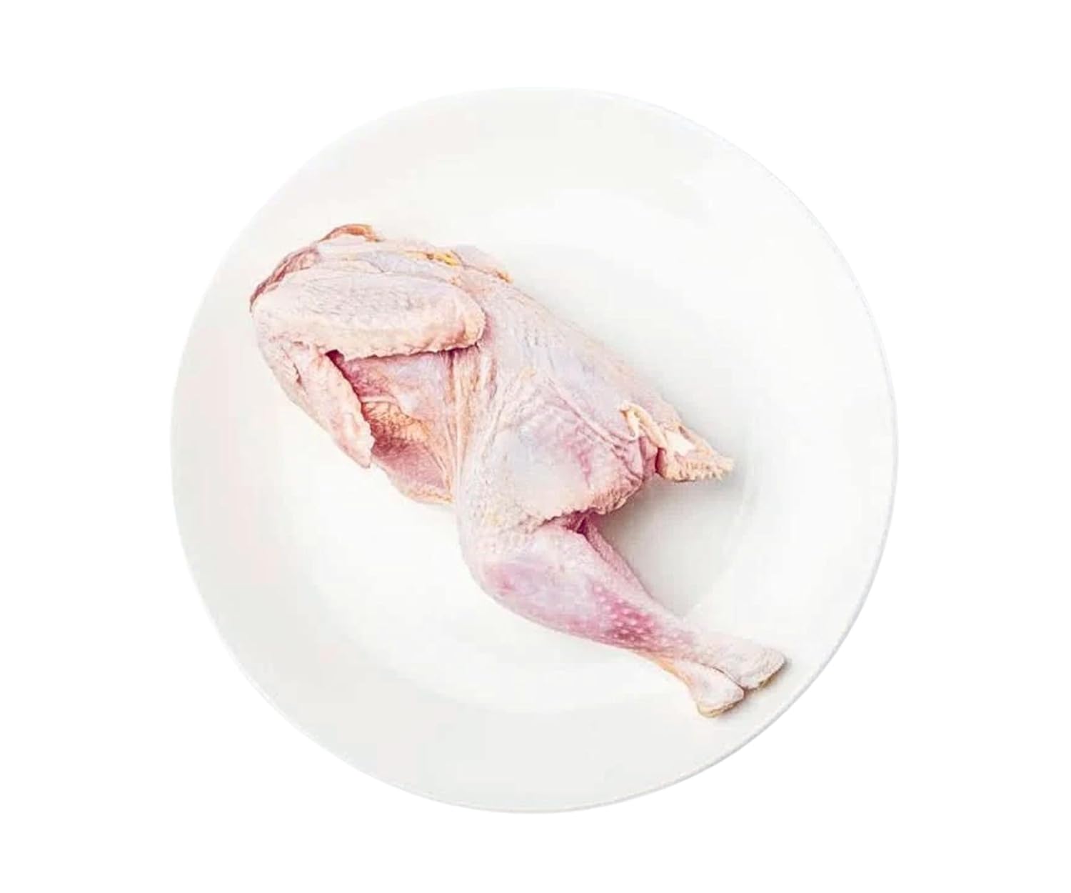 Stewing Hen 1 PACKS | Frozen N Fresh | 2-3LB | Whole