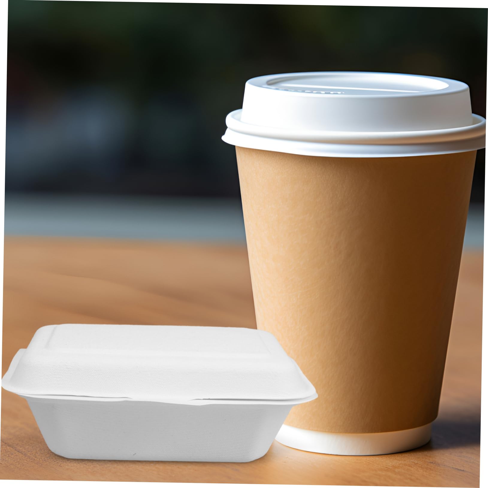 VALICLUD 50 pezzi Contenitori Alimentari Usa e Getta Scatole Ecologiche Compostabili per Asporto Resistenti Grassi per Hamburger Snack e Dolci Alimentare Sicuro