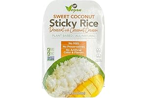 24Vegan Sweet Coconut Sticky Rice Dessert with Coconut Cream