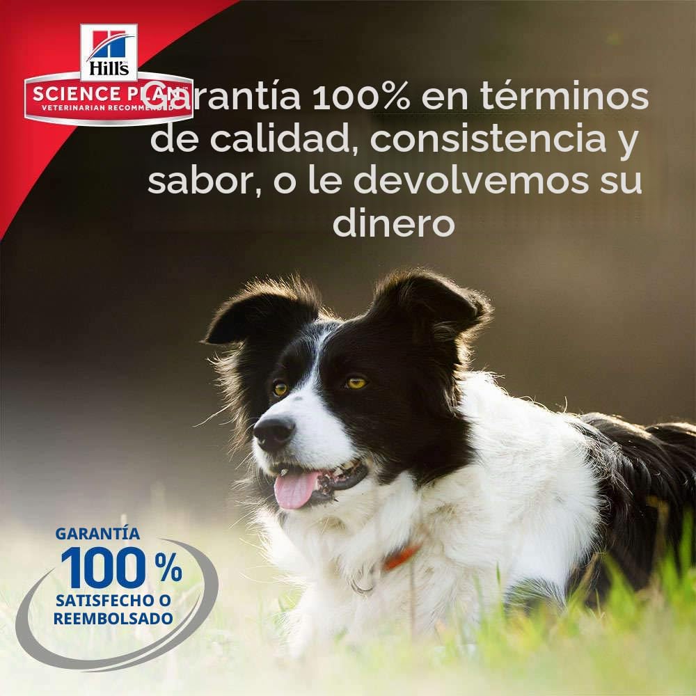 Hill`s Science Plan Alimento con Sabor a Pollo para Perros Maduro - 12 kg