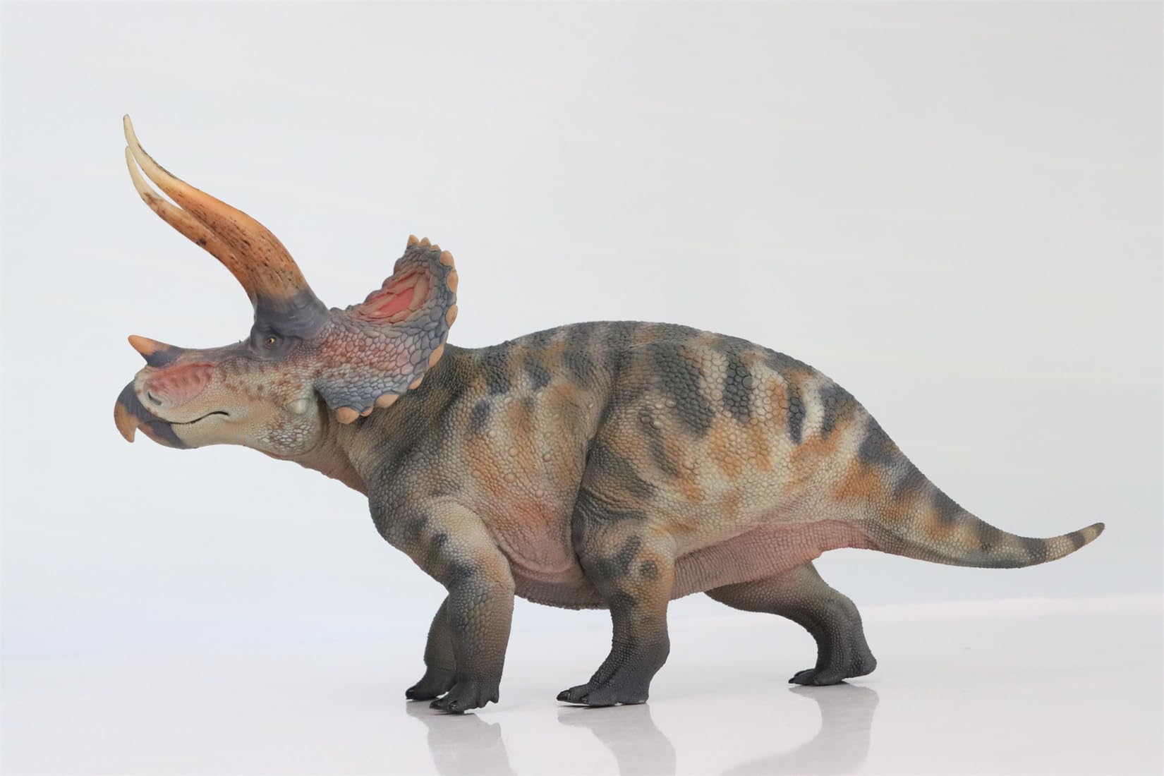 Amazon.com: HLG Studio 1:35 Scale Triceratops Model Dinosaur