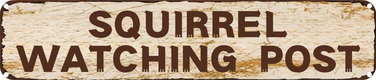 Vintage Tin Sign Retro Metal Wall Decor SQUIRREL WATCHING POST Rustic Aluminum Plaque for Home,Bar,Kitchen,Garage,Man Cave 4x16 Inch