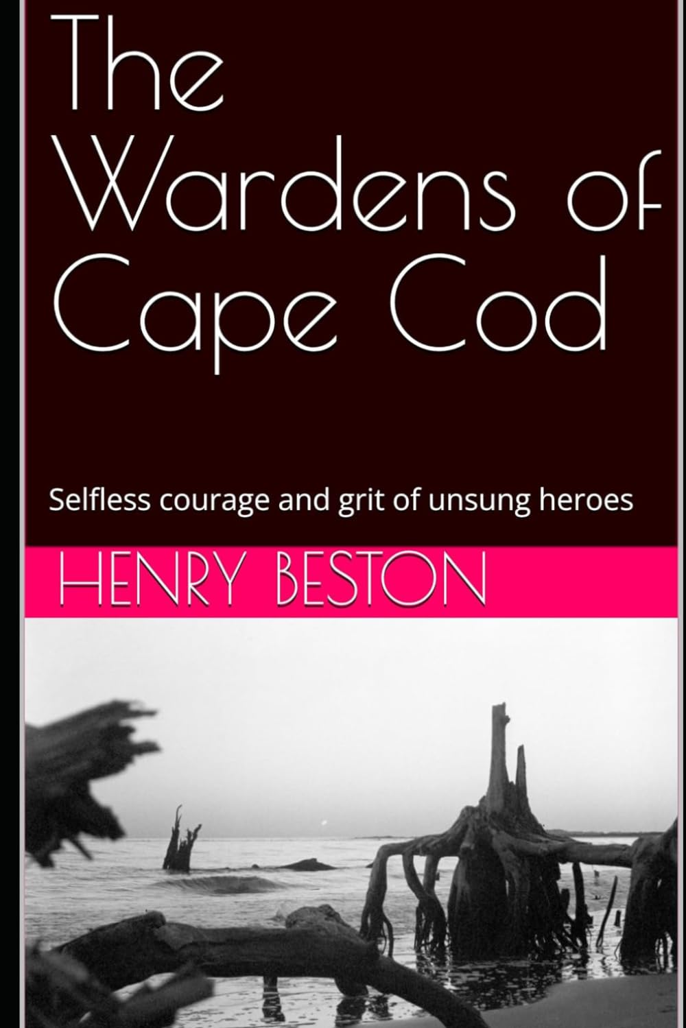 The Wardens of Cape Cod