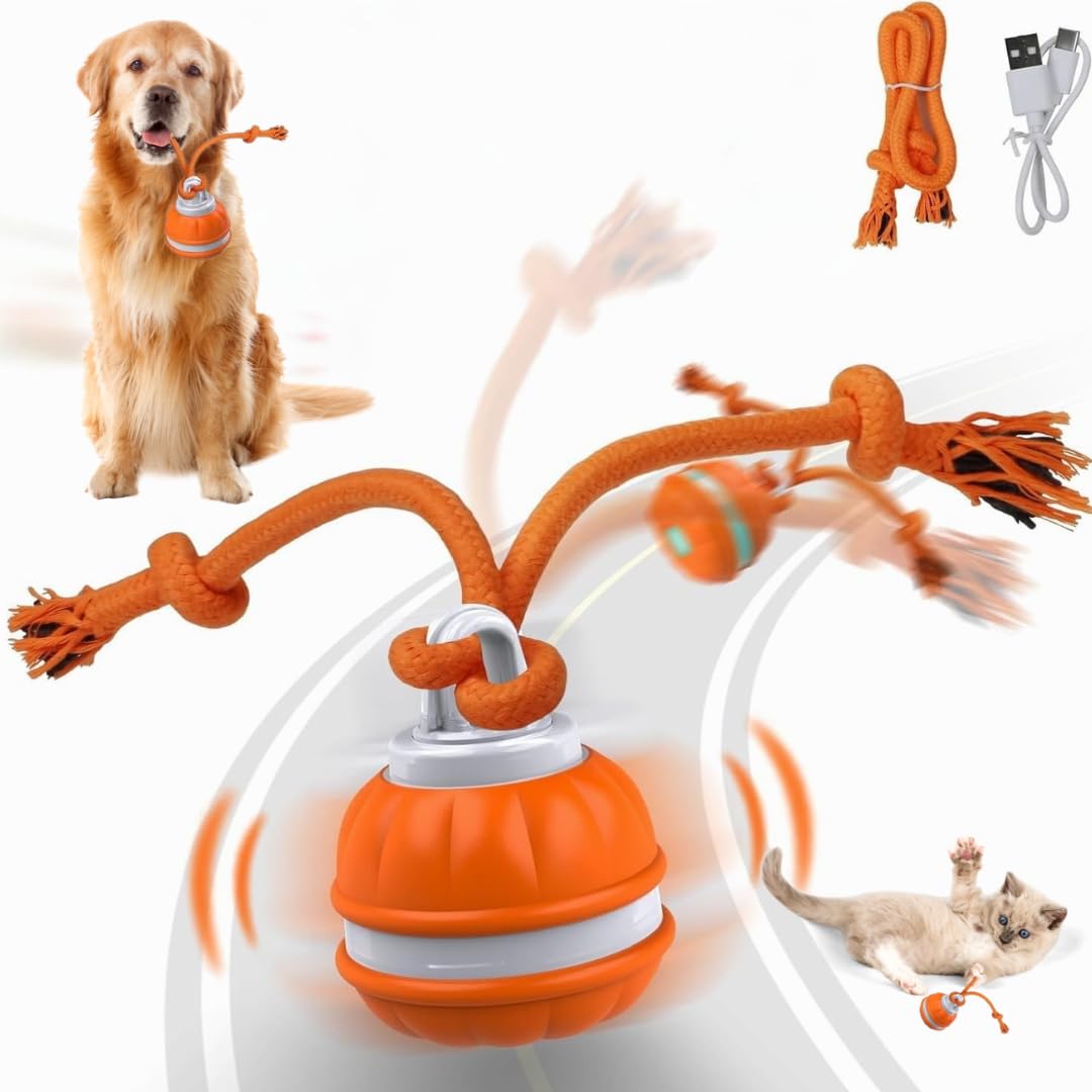 Interactive Dog - Motion Activated Rolling for Puppies Small Dogs USB Rechargeable Automatic Pet Ball Smart Moving Toy
