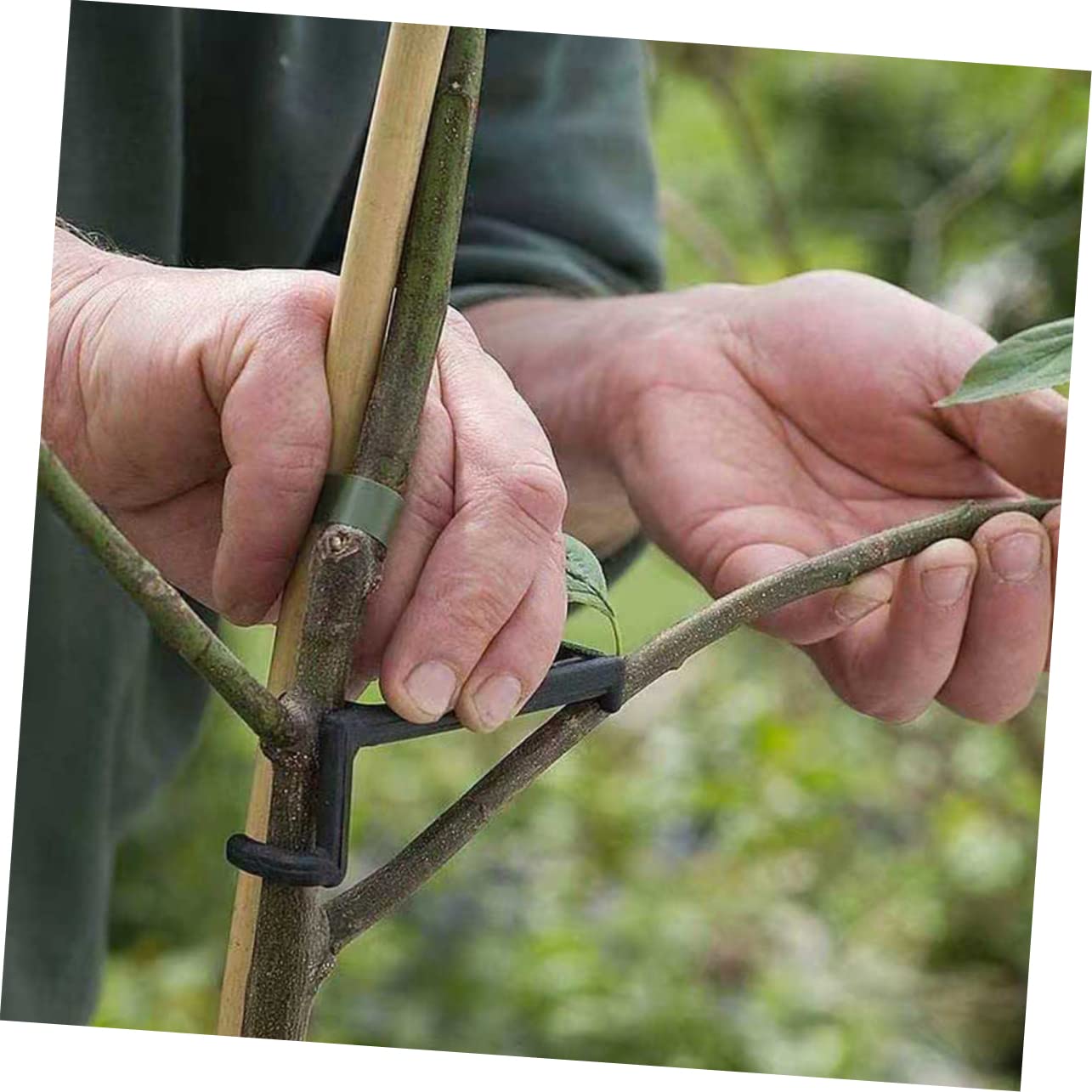 UPKOCH 4 Set Clip per Piante Regolabili PE Strumenti Allenamento per Rami Bonsai E Piante Rampicanti per Indoor E Outdoor 10 Pezzi*4