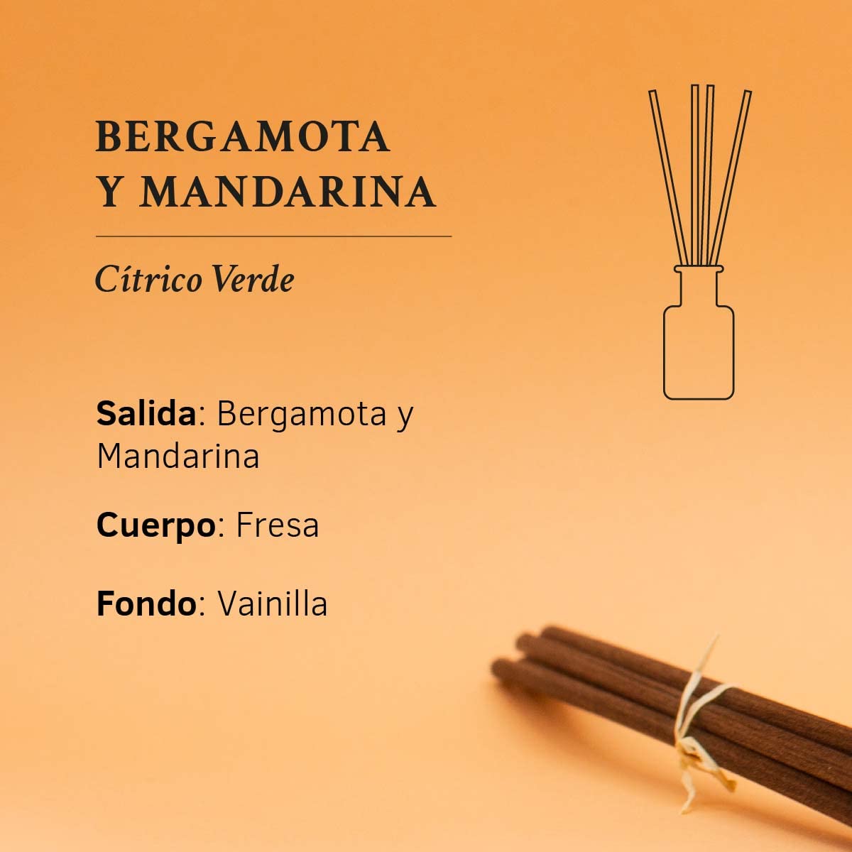 SYS Aromas Ambientador Mikado Bergamota y Mandarina 1991 - Difusor con Varillas de Ratán - Aroma Cítrico y Herbal - Larga Duración - Ideal para Hogar, Oficina, Baño - 100 ml con 5 Varillas