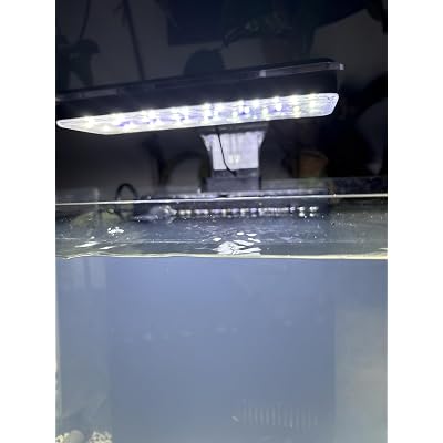 ubuy Puerto Rico
