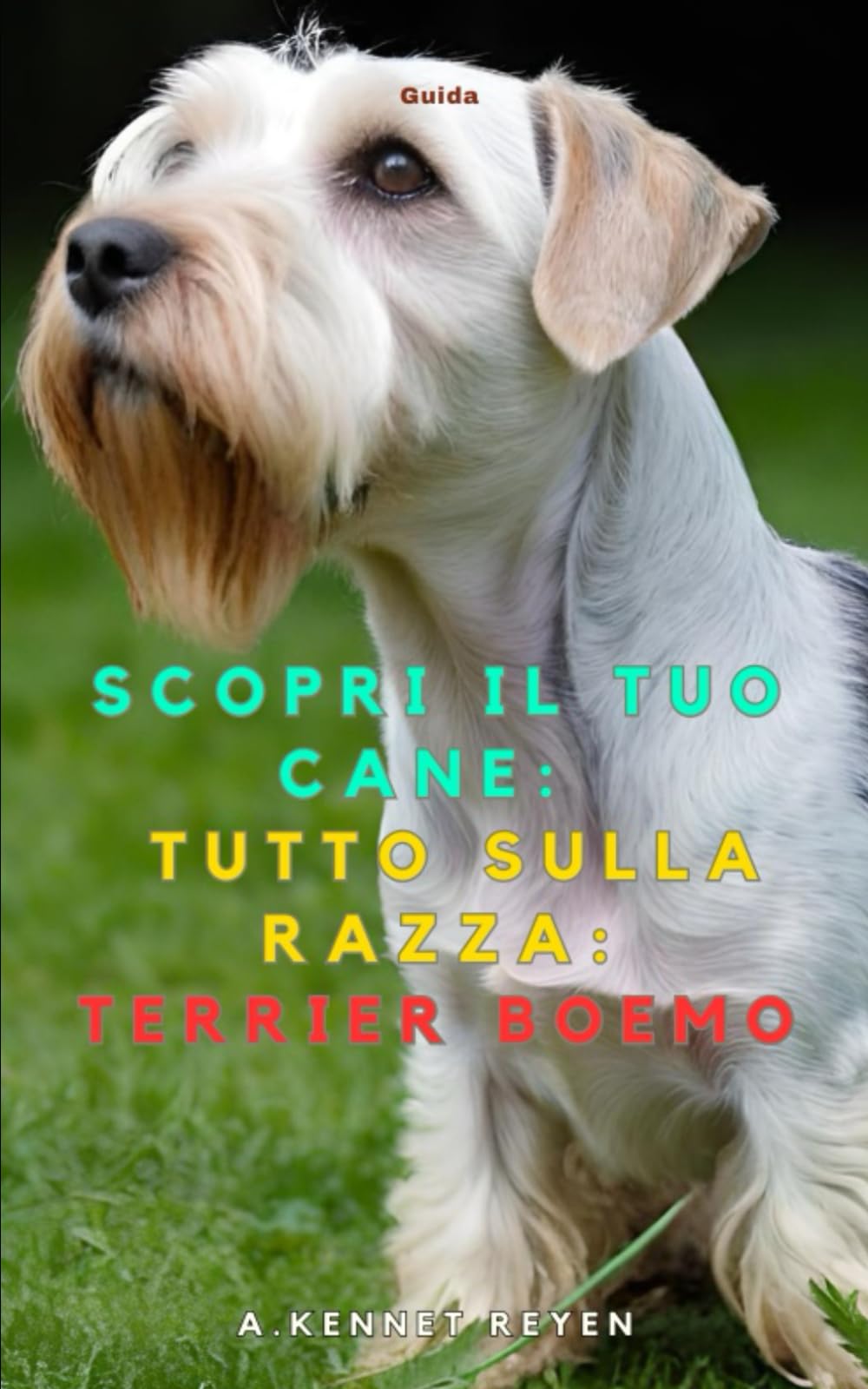 Scopri il tuo Cane:Tutto sulla razza: Terrier Boemo