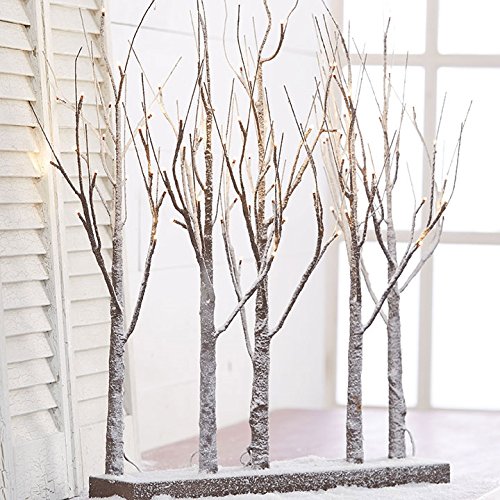 30 inch Lighted Snowy Grove New with 88 Twinkle Lights and Steady Functions, Indoor/Outdoor