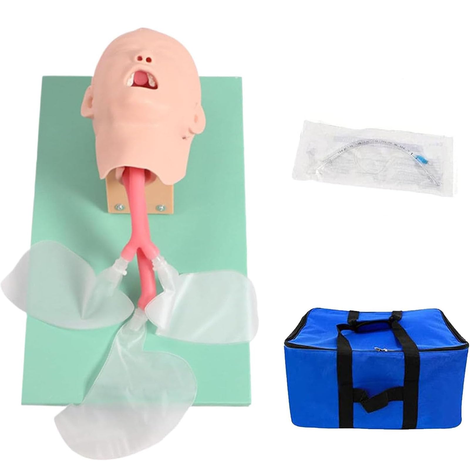 Mannequin d'intubation pour enfant AMITD outil de gestion des voies aériennes en PVC