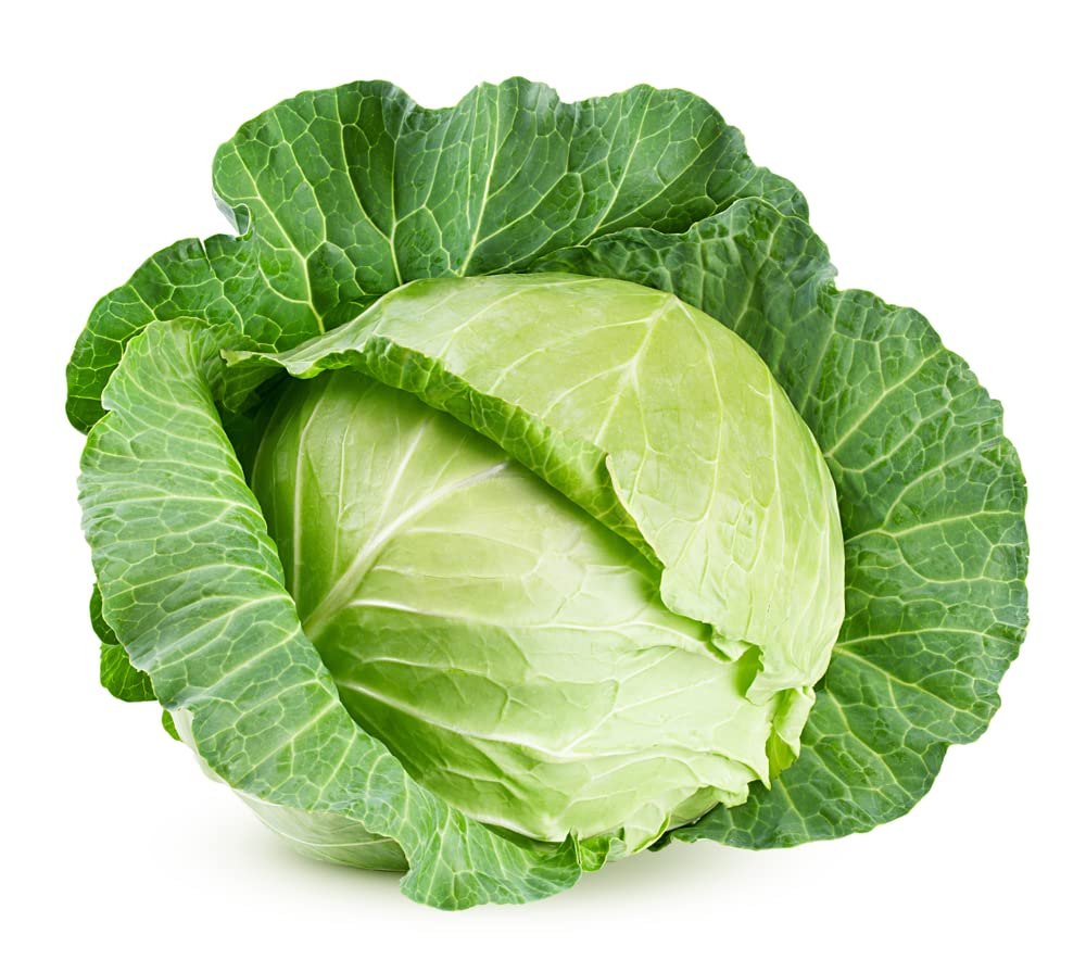 Vegetable Plants, Mixed Multi-Pack Bundle, Cabbages, Cauliflower, Brussels Sprouts, 3 Varieties, 36 x Large Veg Plants Package, Garden Ready, Premium Quality Vegetables
