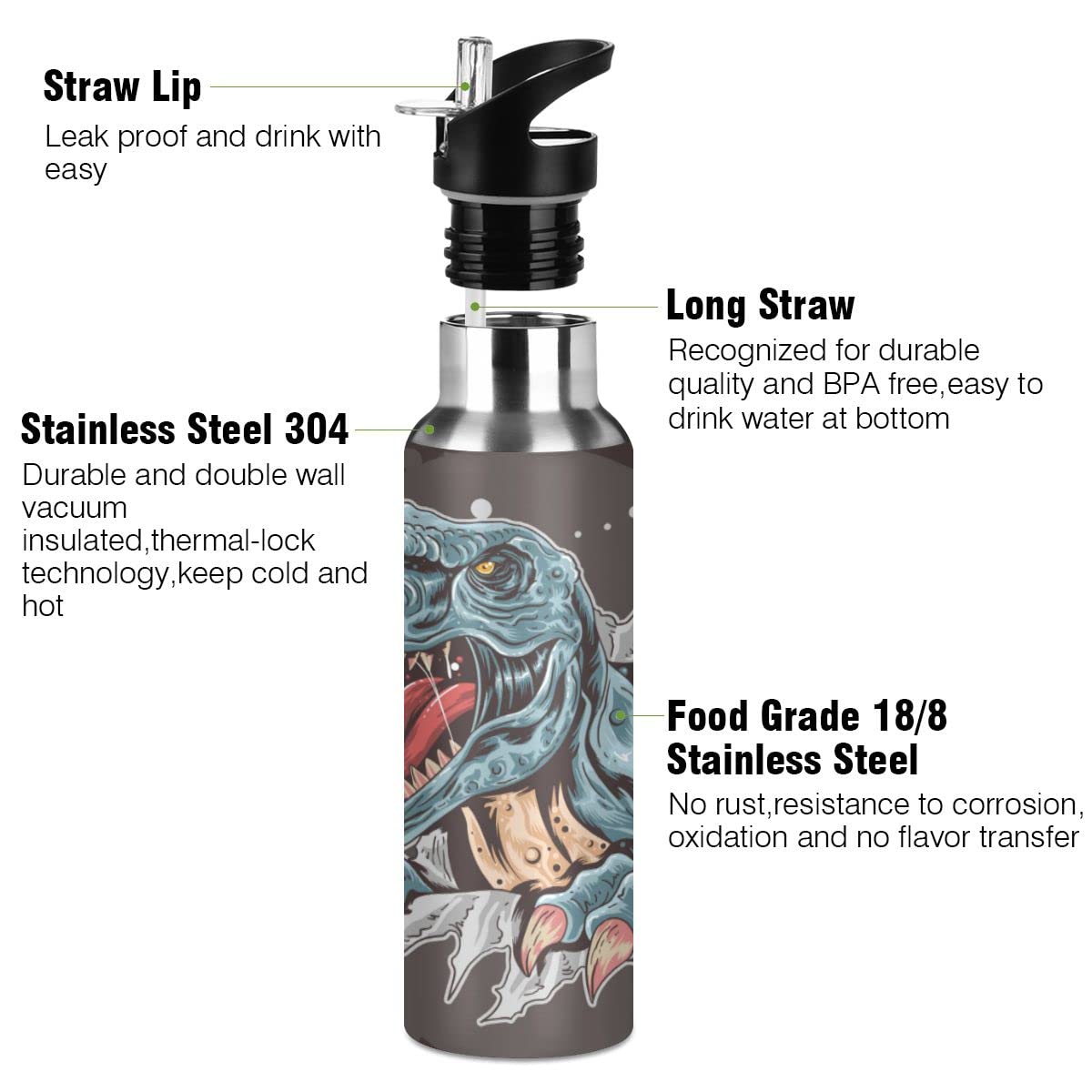 Edelstahl Wasserflasche mit Strohhalm, T-rex Dinosaurier Isolierte Trinkflasche Sport Wasserflasche für Kinder Erwachsene, auslaufsicher, 1L