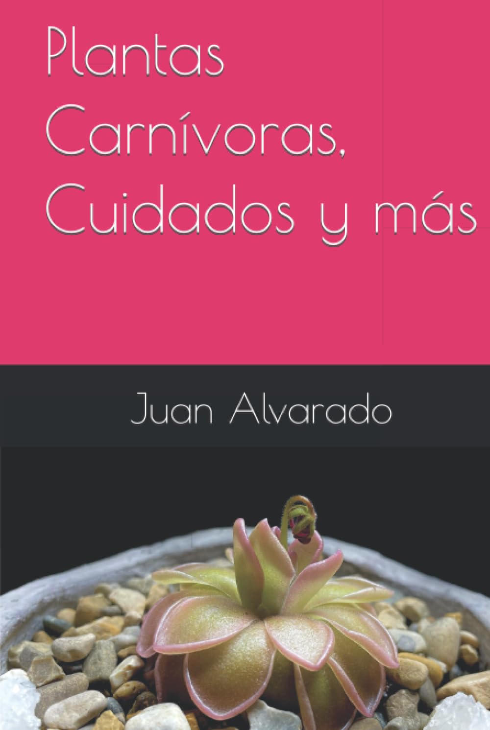 Plantas Carnívoras para Principiantes